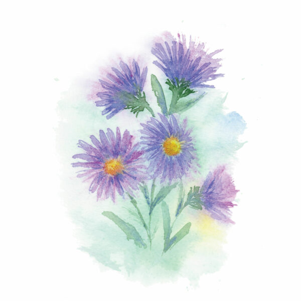 Loose Aster Flower - Image 3