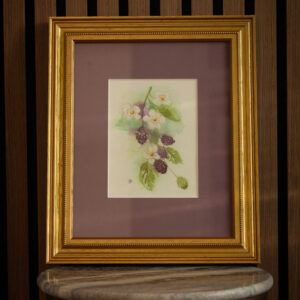 Loose watercolor painting of blackberries and blossoms with purple matting and a gold frame