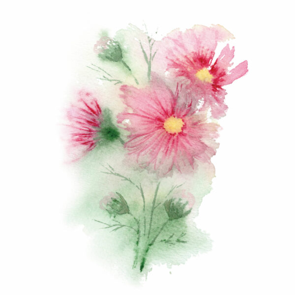 Loose Cosmos Flower - Image 3