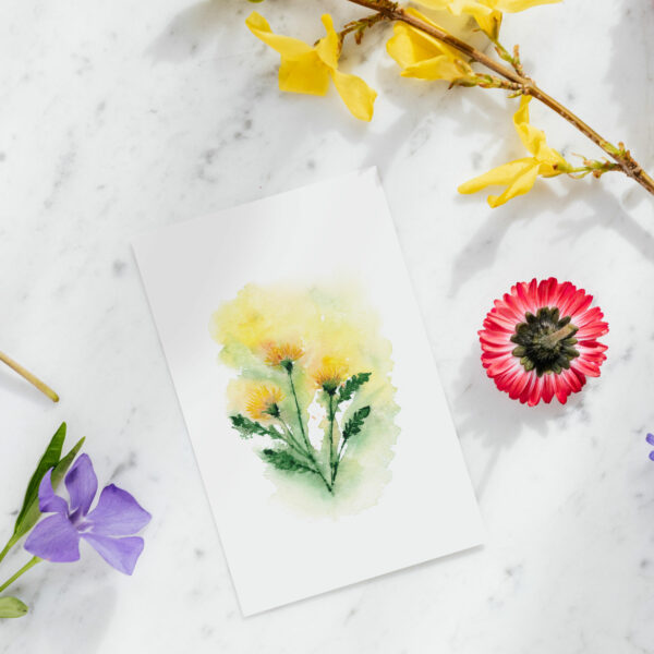 Dandelion Flower