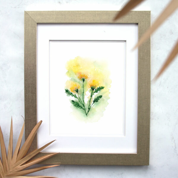 Loose Dandelion Flower