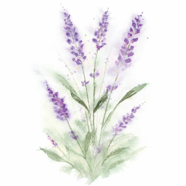 Lavender Flower Original - Image 2