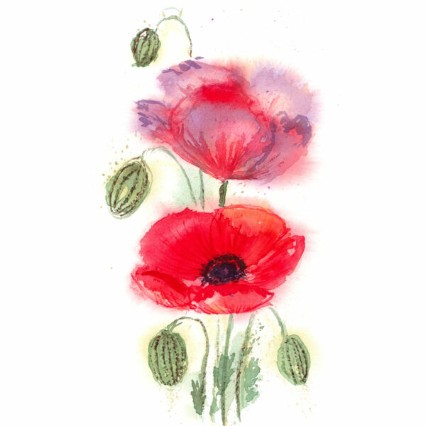 Loose Poppy Flower - Image 3